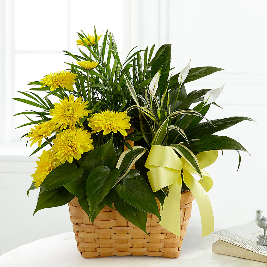Loving Light Dishgarden – KAREN'S FLOWER KOTTAGE, Hayward CA