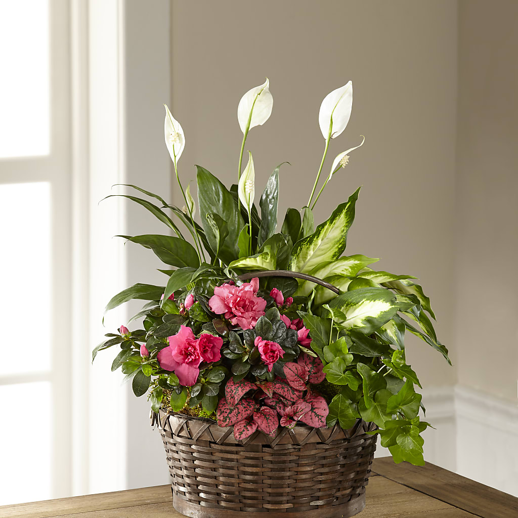 Dream in Pink Dishgarden – KAREN'S FLOWER KOTTAGE, Hayward CA