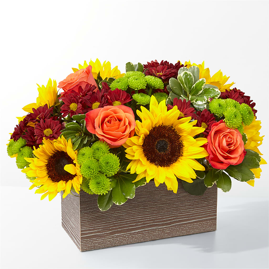 Happy Harvest Garden – KAREN'S FLOWER KOTTAGE, Hayward CA
