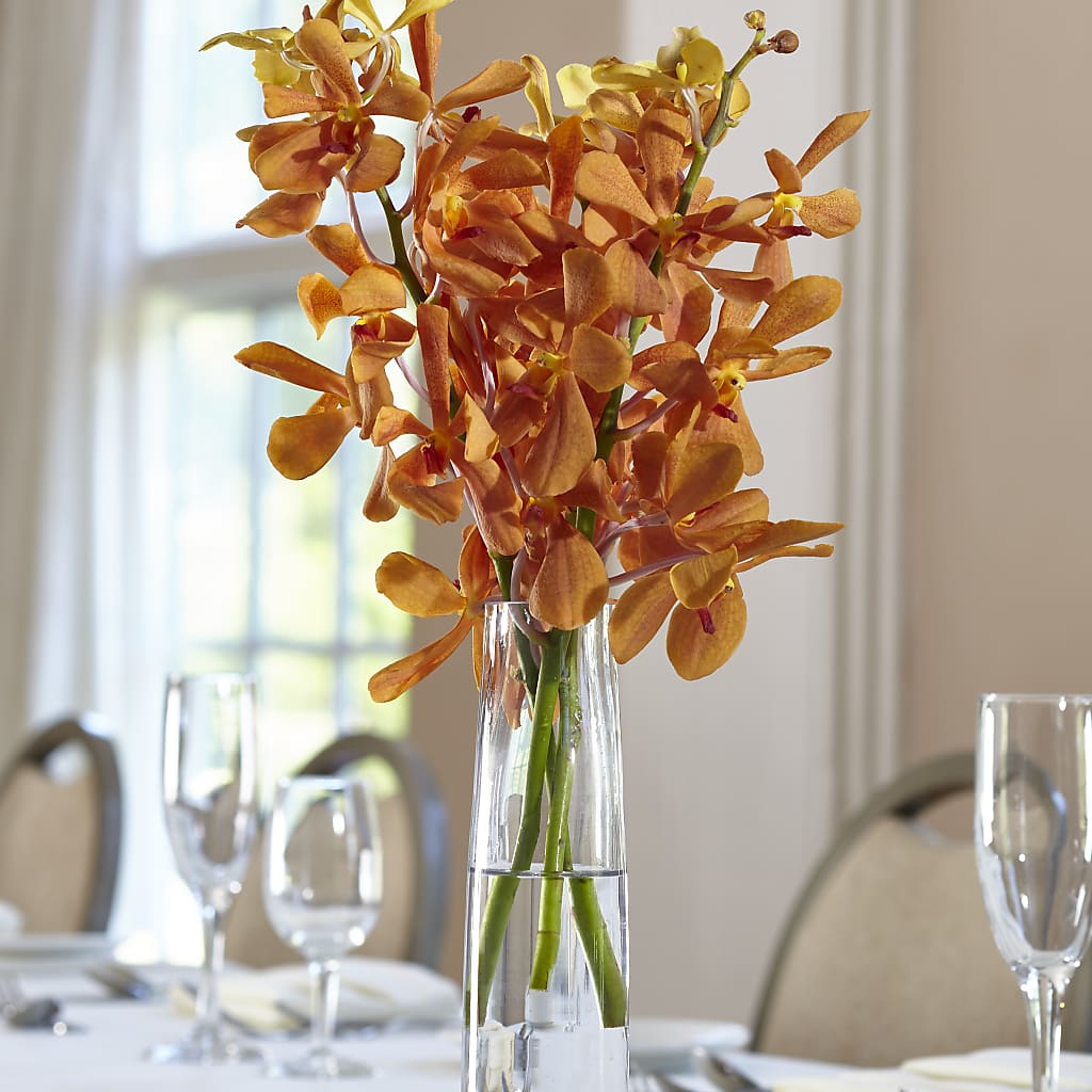 Orange Mokara Bud Vase – KAREN'S FLOWER KOTTAGE, Hayward CA
