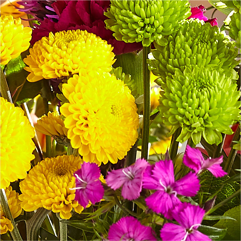 Bold & Bright – A Florist Original – KAREN'S FLOWER KOTTAGE, Hayward CA