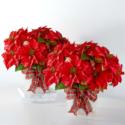Happiest Holidays Poinsettia Bundle – KAREN'S FLOWER KOTTAGE, Hayward CA