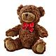 Adorable Plush Bear – KAREN'S FLOWER KOTTAGE, Hayward CA