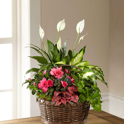 Dream in Pink Dishgarden – KAREN'S FLOWER KOTTAGE, Hayward CA