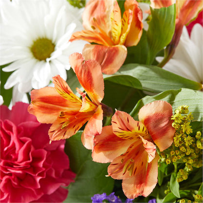 Oopsie Daisy Box Bouquet – KAREN'S FLOWER KOTTAGE, Hayward CA