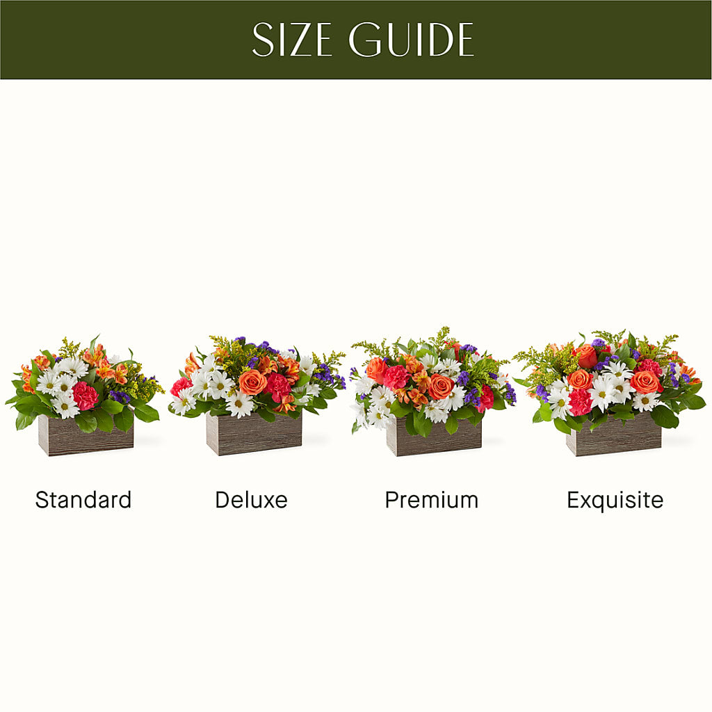 Oopsie Daisy Box Bouquet – KAREN'S FLOWER KOTTAGE, Hayward CA