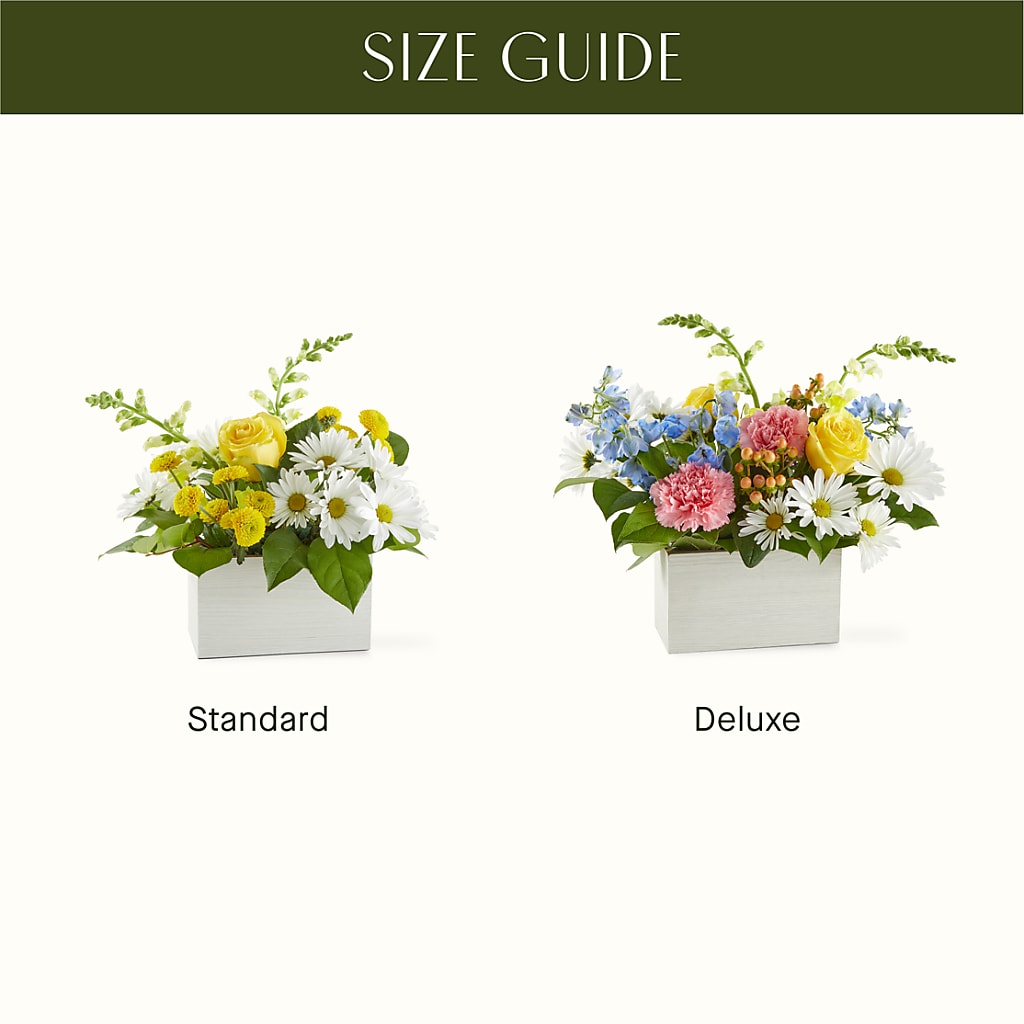 Sun Salutation Box Bouquet – KAREN'S FLOWER KOTTAGE, Hayward CA