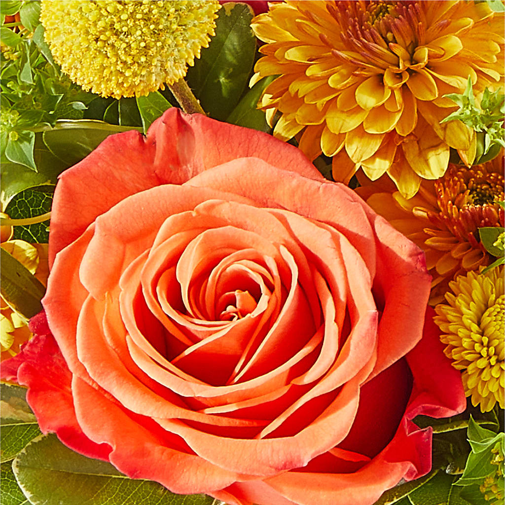 Gourdgeous Pumpkin – KAREN'S FLOWER KOTTAGE, Hayward CA