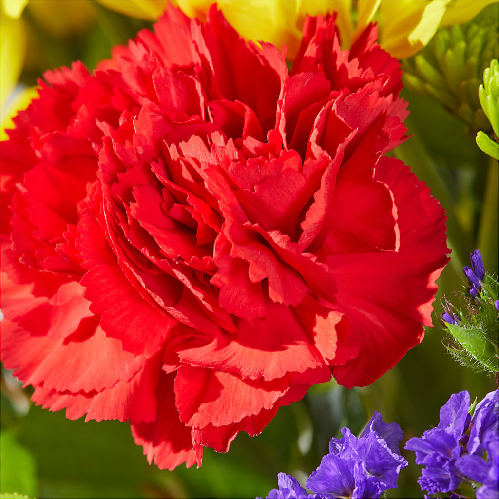 Brighter Days Bouquet – KAREN'S FLOWER KOTTAGE, Hayward CA