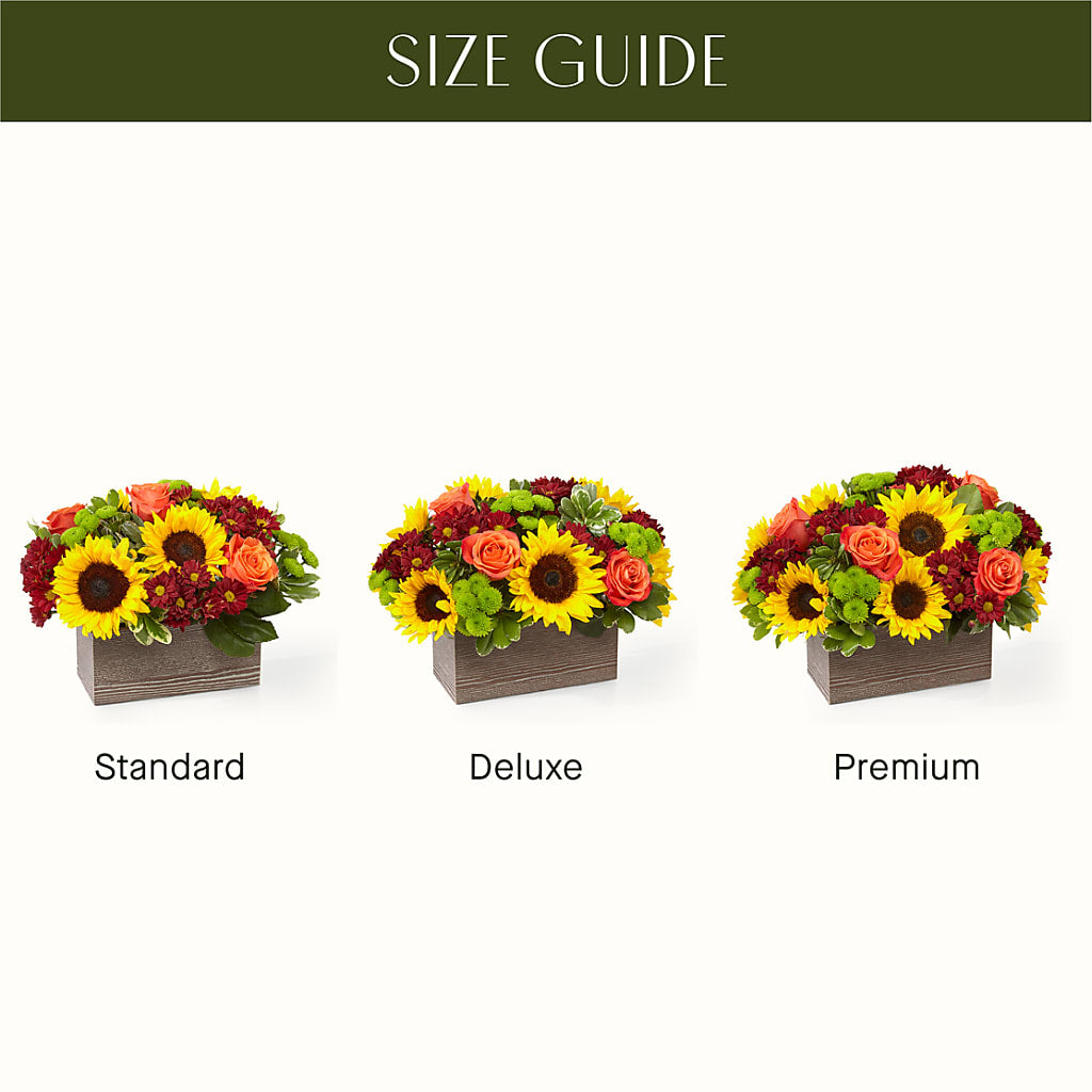 Happy Harvest Garden – KAREN'S FLOWER KOTTAGE, Hayward CA