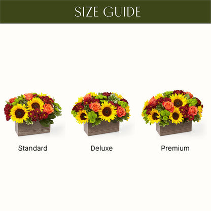 Happy Harvest Garden – KAREN'S FLOWER KOTTAGE, Hayward CA