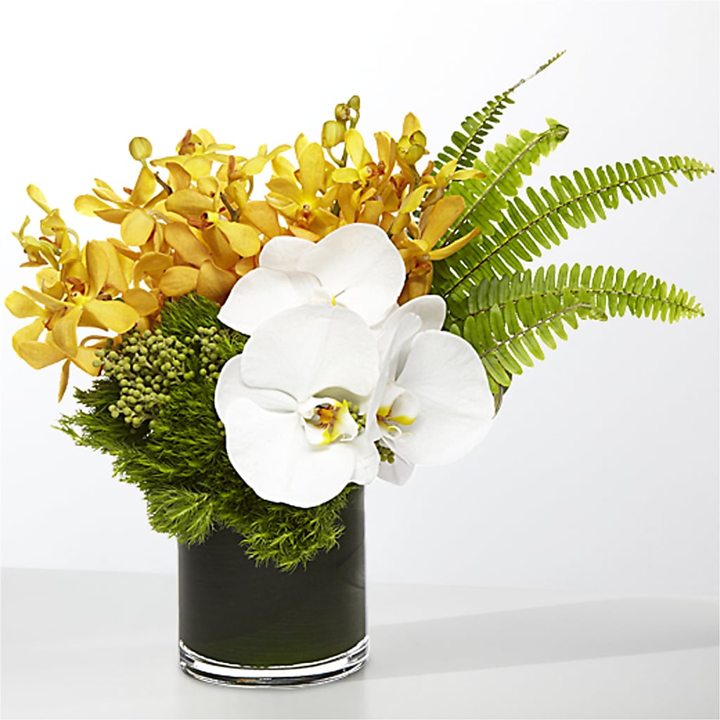 The Tropics – KAREN'S FLOWER KOTTAGE, Hayward CA
