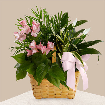 Living Spirit Dishgarden – KAREN'S FLOWER KOTTAGE, Hayward CA