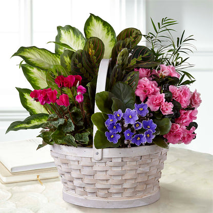 Peaceful Garden Planter – KAREN'S FLOWER KOTTAGE, Hayward CA