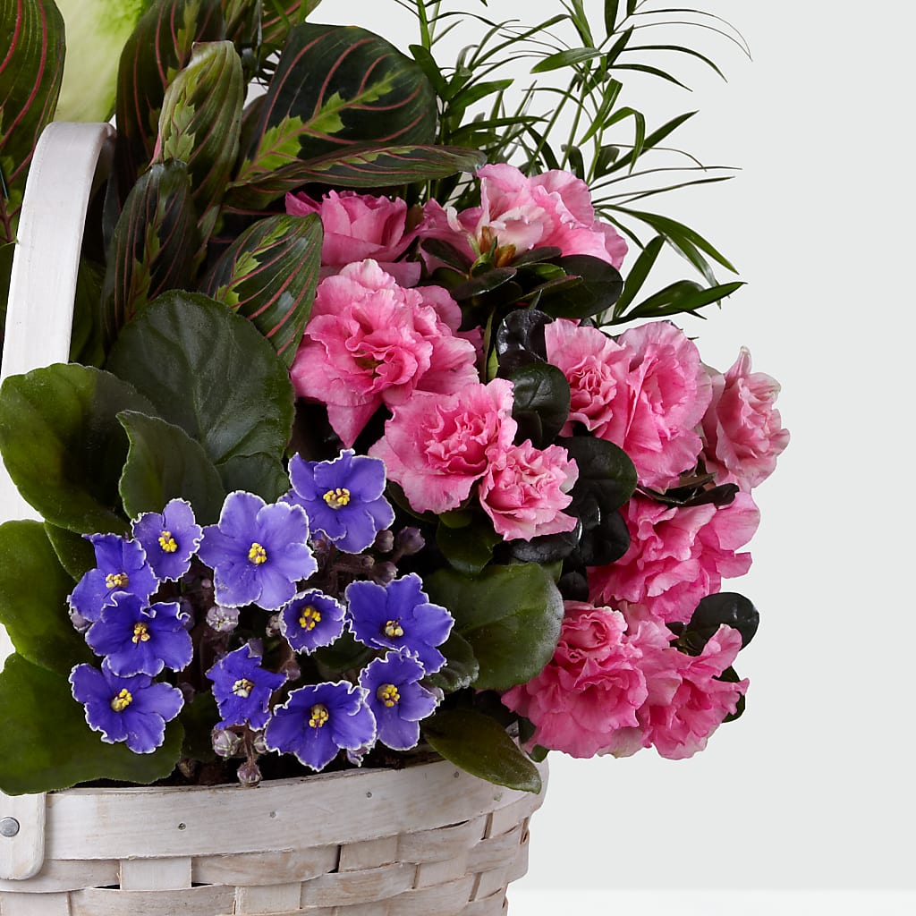 Peaceful Garden Planter – KAREN'S FLOWER KOTTAGE, Hayward CA