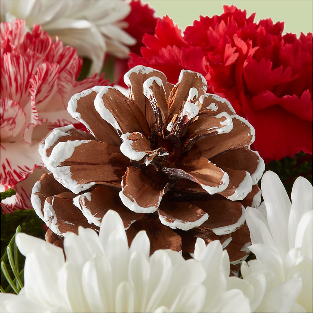 Candy Cane Lane Bouquet – KAREN'S FLOWER KOTTAGE, Hayward CA