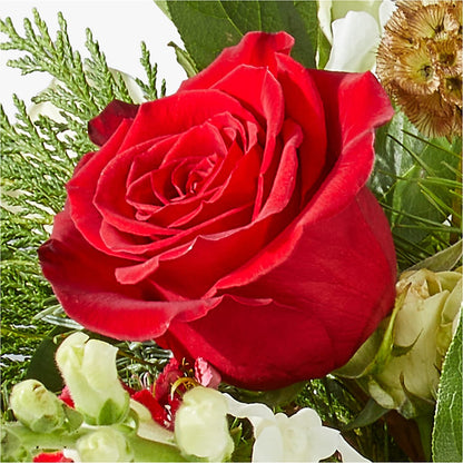 Deck the Halls Bouquet – KAREN'S FLOWER KOTTAGE, Hayward CA