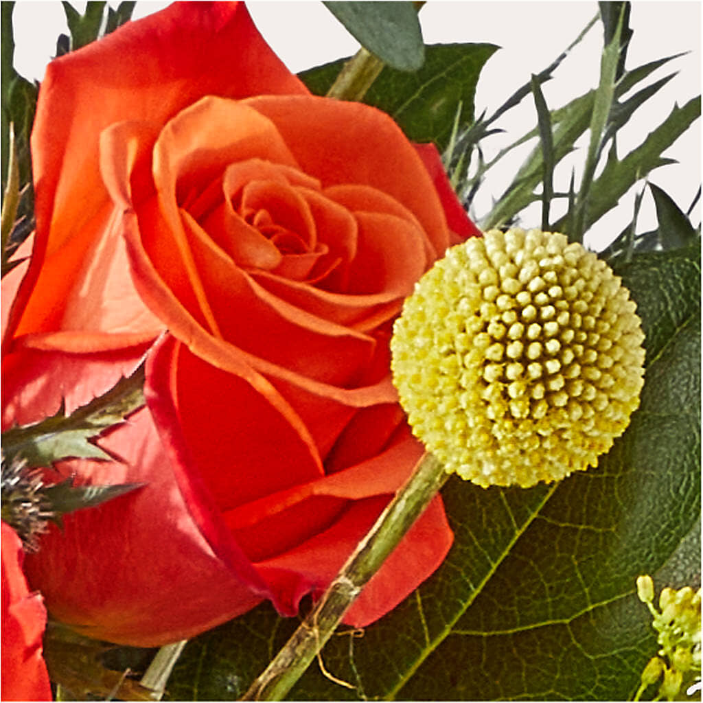 Disco Bouquet – KAREN'S FLOWER KOTTAGE, Hayward CA