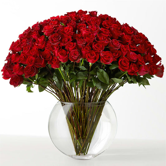 The Idealist – KAREN'S FLOWER KOTTAGE, Hayward CA