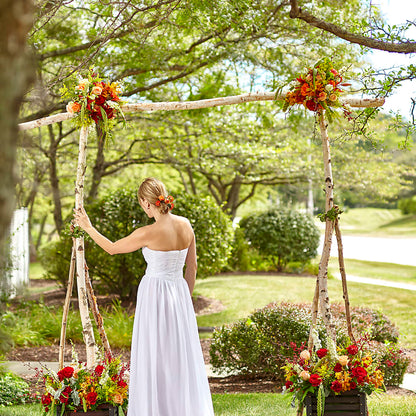 Arbor of Love Archway – KAREN'S FLOWER KOTTAGE, Hayward CA
